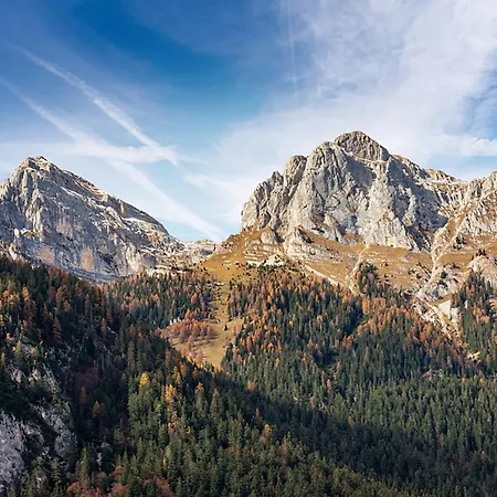 Incantevole Con Parcheggio Gratuito *